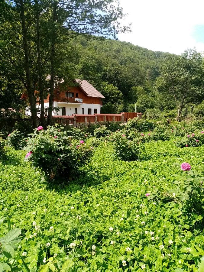Livada Amely Hotel Gales Buitenkant foto