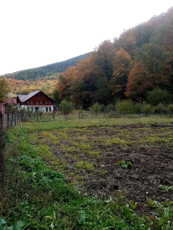 Livada Amely Hotel Gales Buitenkant foto